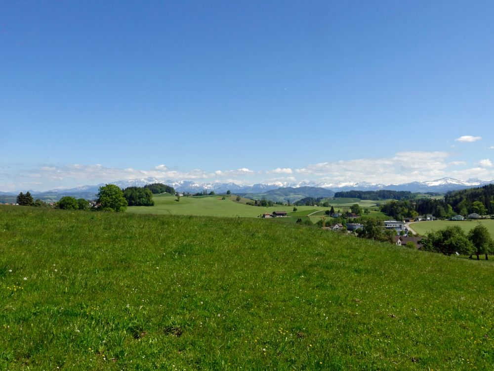 Blick vom Schallenberg