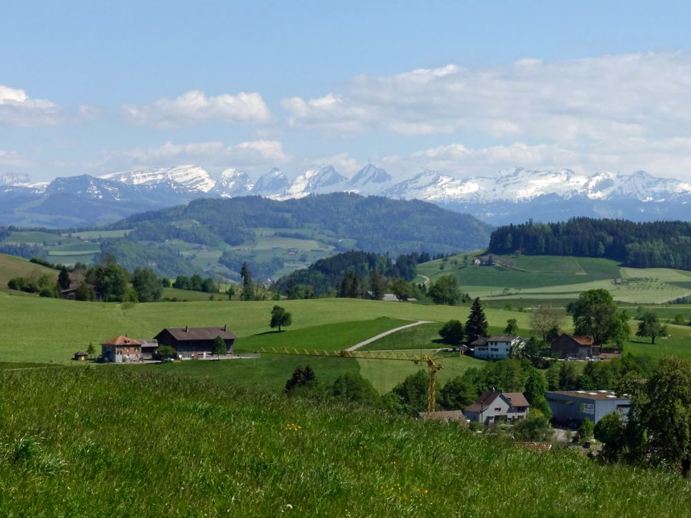 Blick Richtung Churfirsten