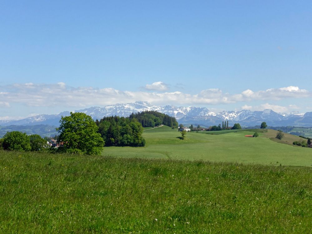 Blick Richtung Säntis