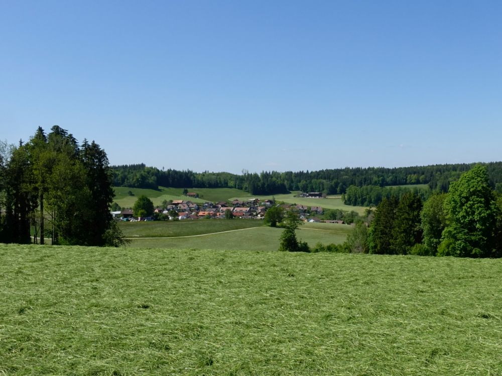 Blick Richtung Dietschwil