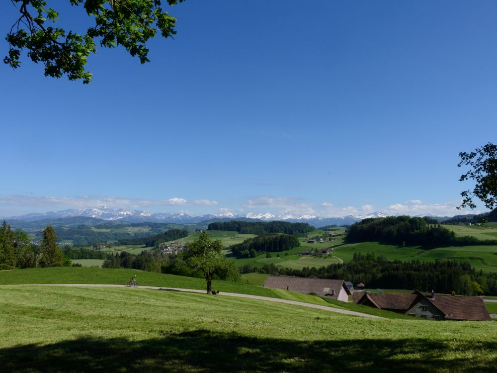 Säntisblick oberhalb Wittwil