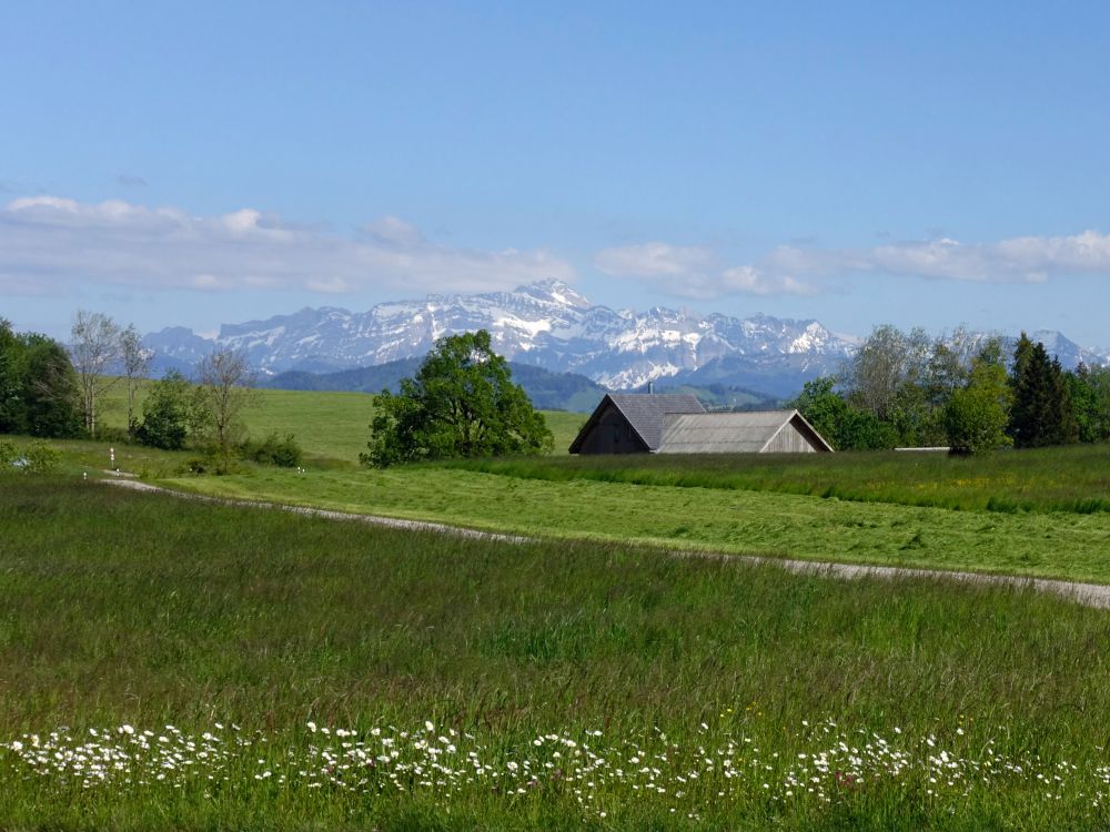 Säntis