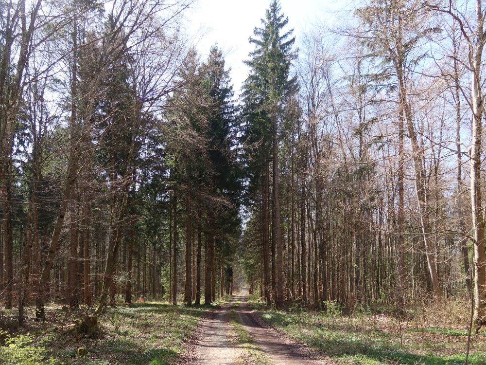 Längeweg