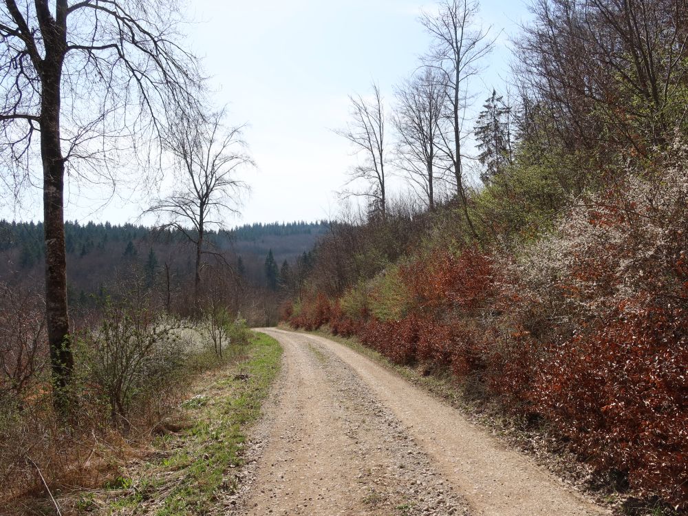 Weg überm Eigental