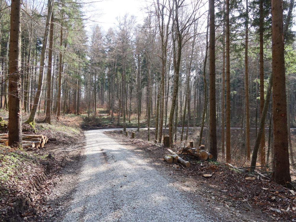 Waldweg