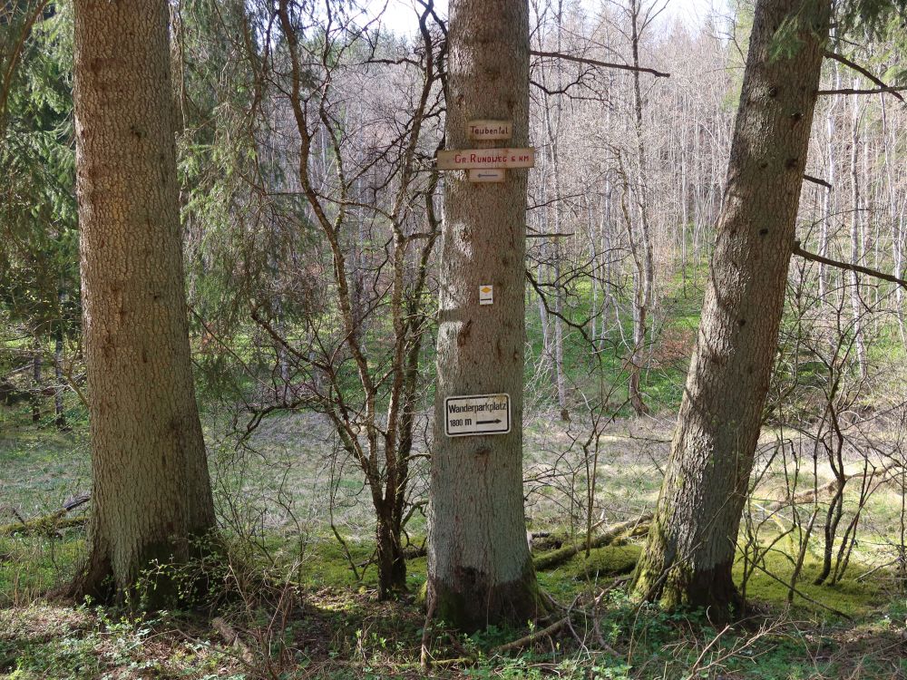 Wegweiser