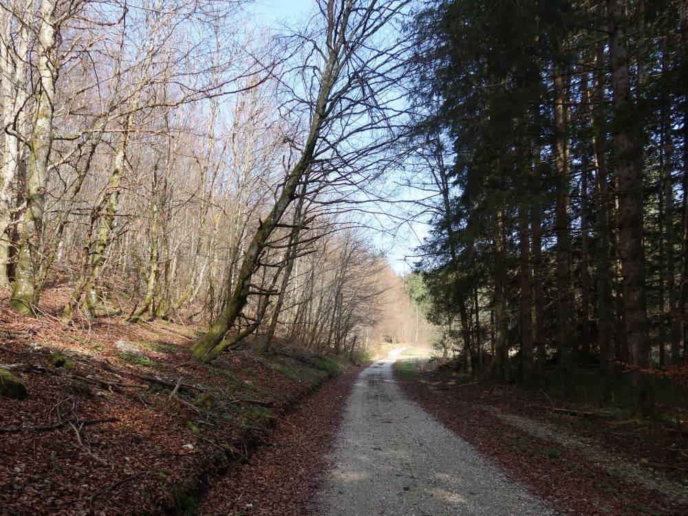 Pfaffentalweg