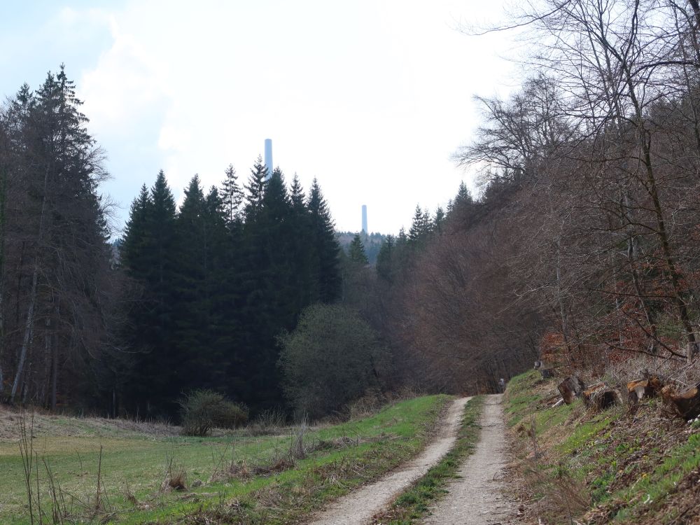 Pfaffentalweg