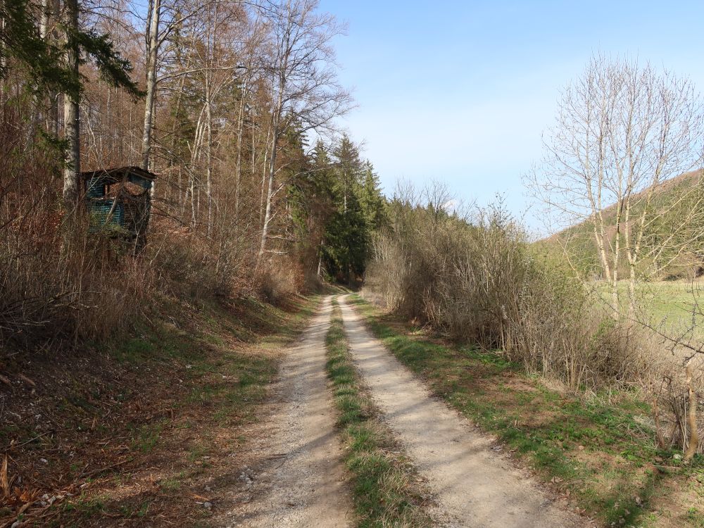 Pfaffentalweg