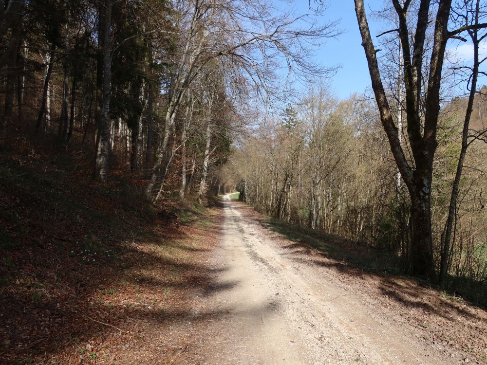 Pfaffentalweg