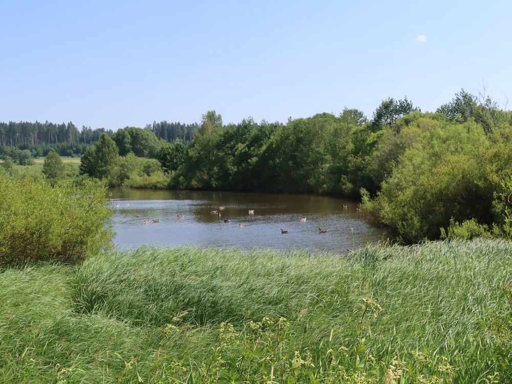 Kirnbergsee