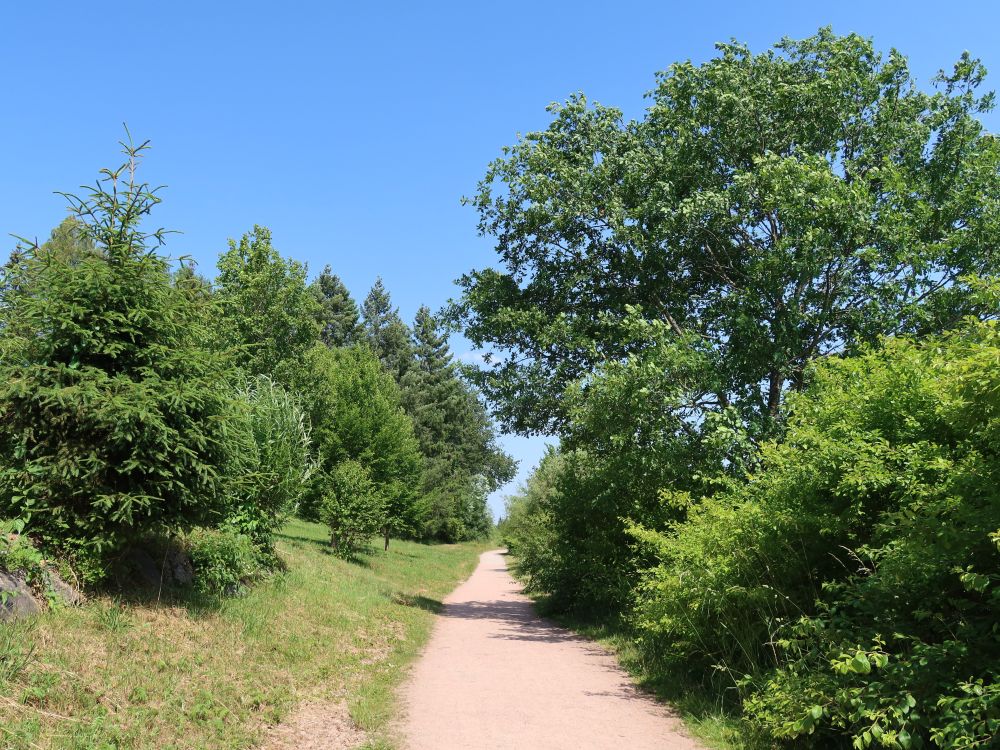 Rundwanderweg