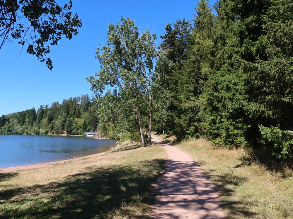 Uferweg am Kirnbergsee