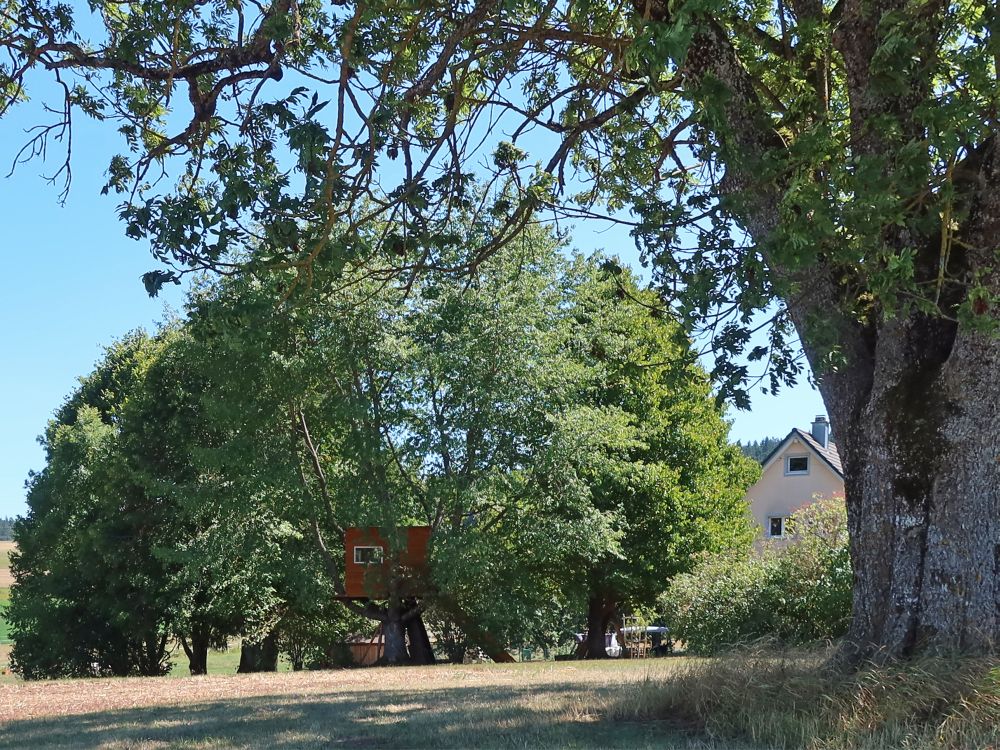 Baumhaus beim Waldhauser Hof