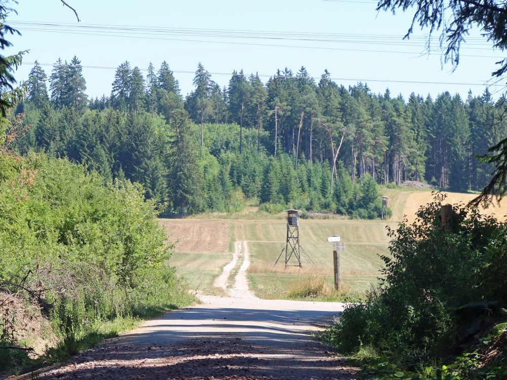 Jägerstand auf freier Wiese