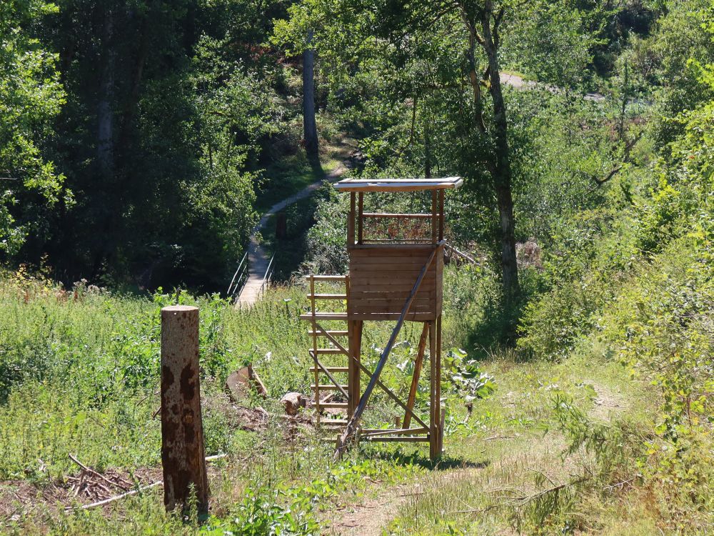 Jägerstand und Gauchach-Steg