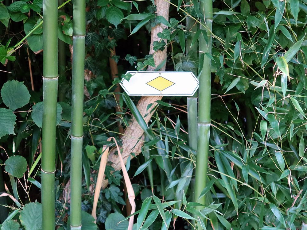 Wanderwegmarkierung auf Bambus