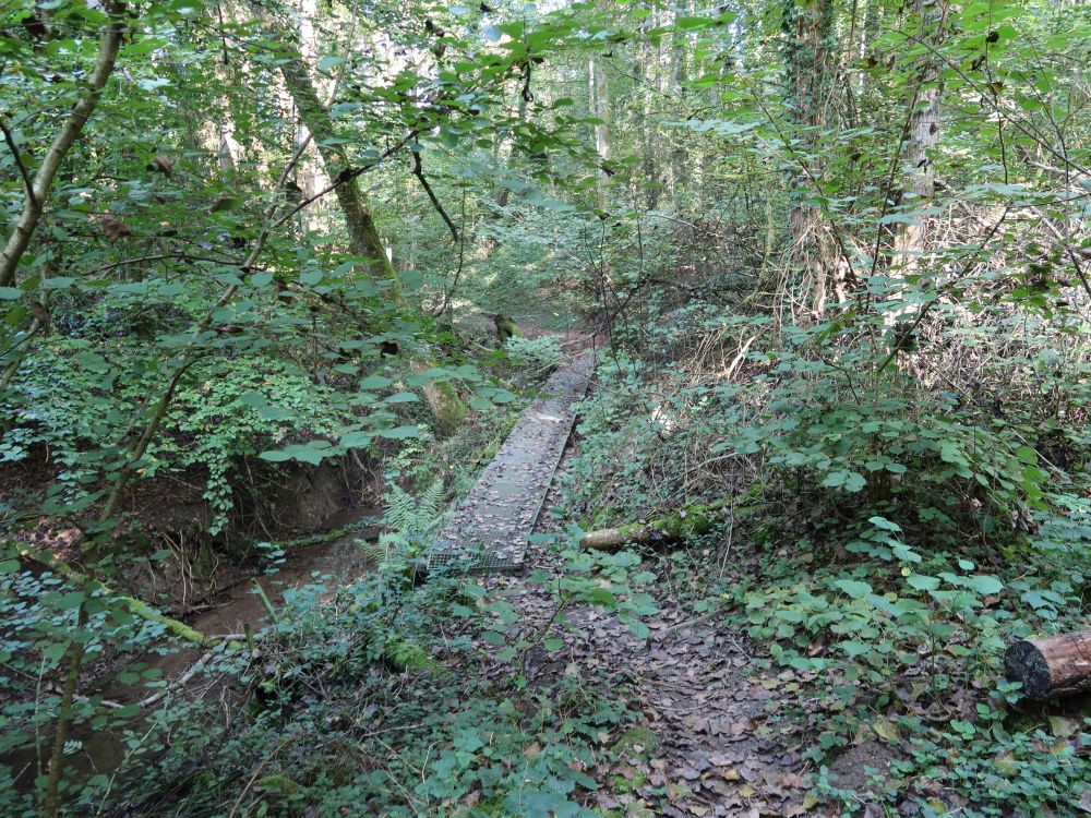 Klingenbachschlucht