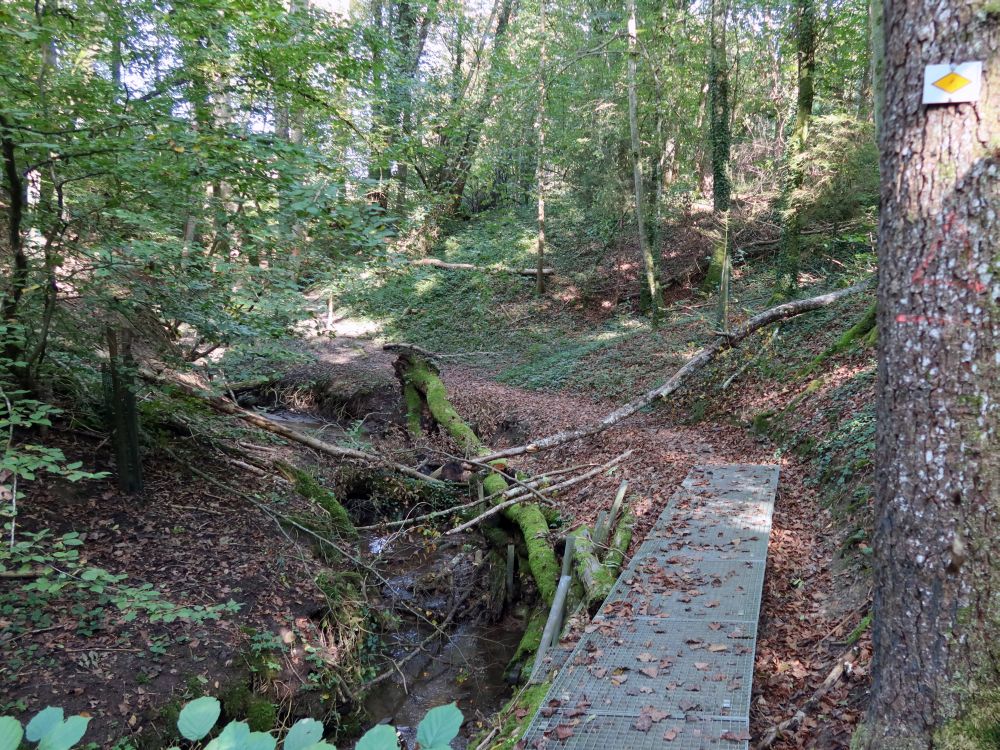 Klingenbachschlucht