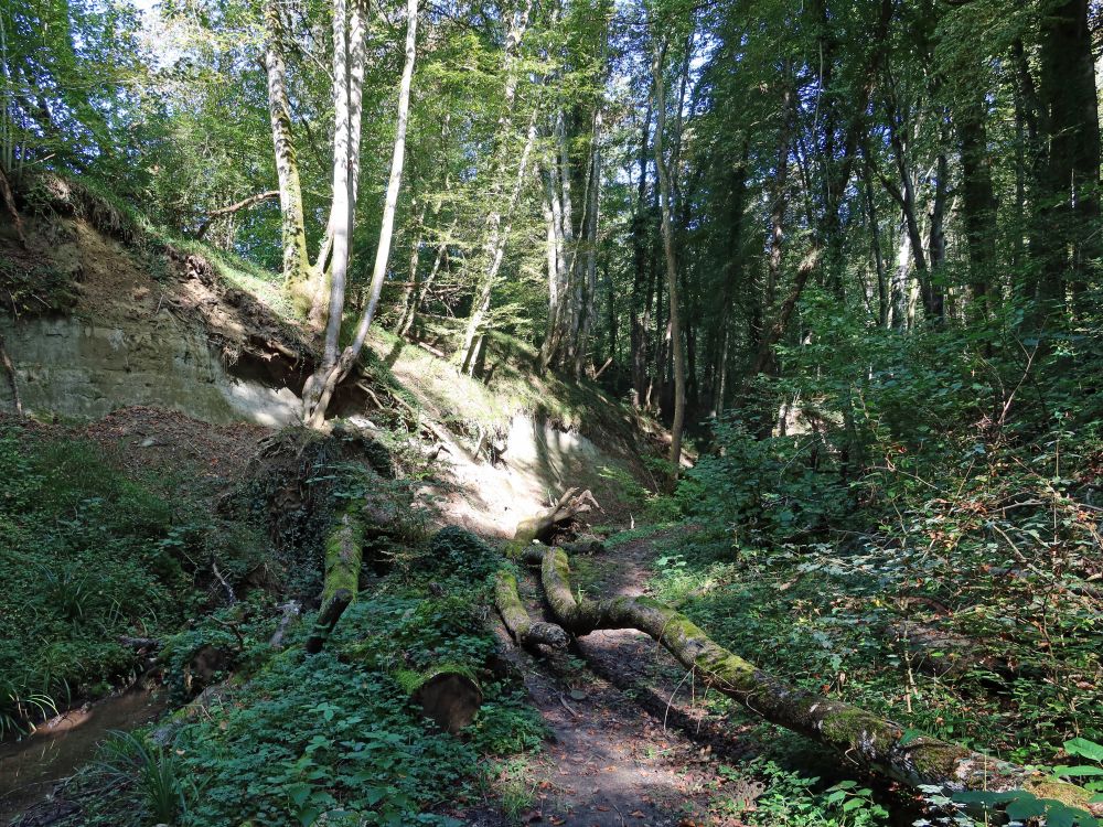 Klingenbachschlucht