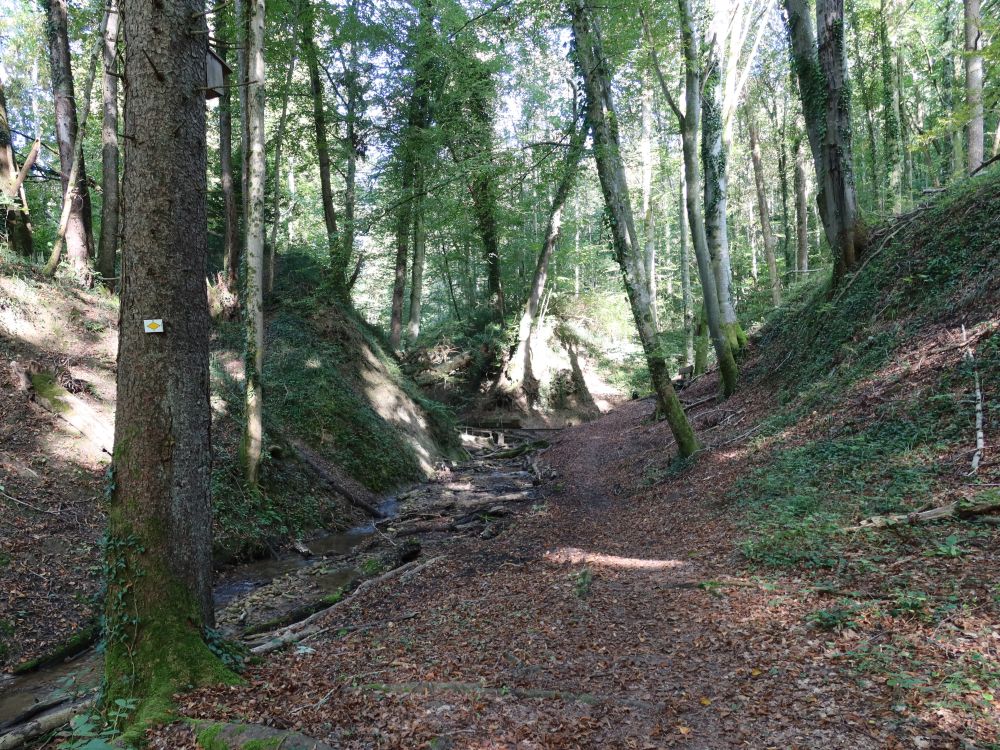 Klingenbachschlucht