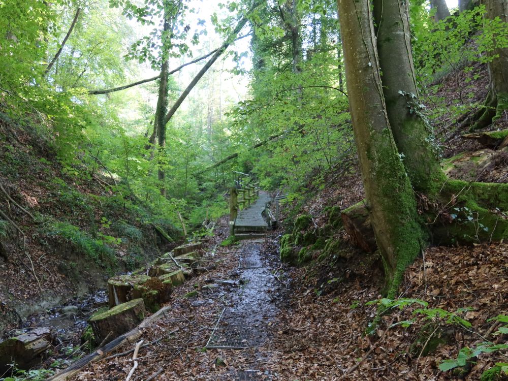 Klingenbachschlucht