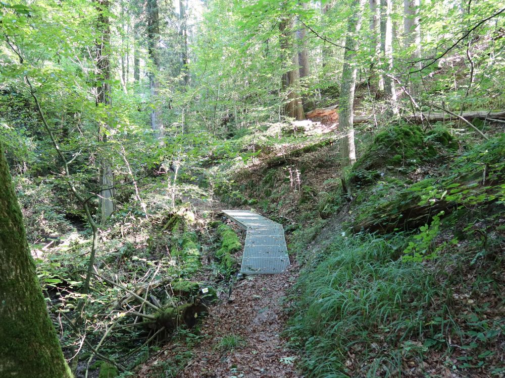 Klingenbachschlucht