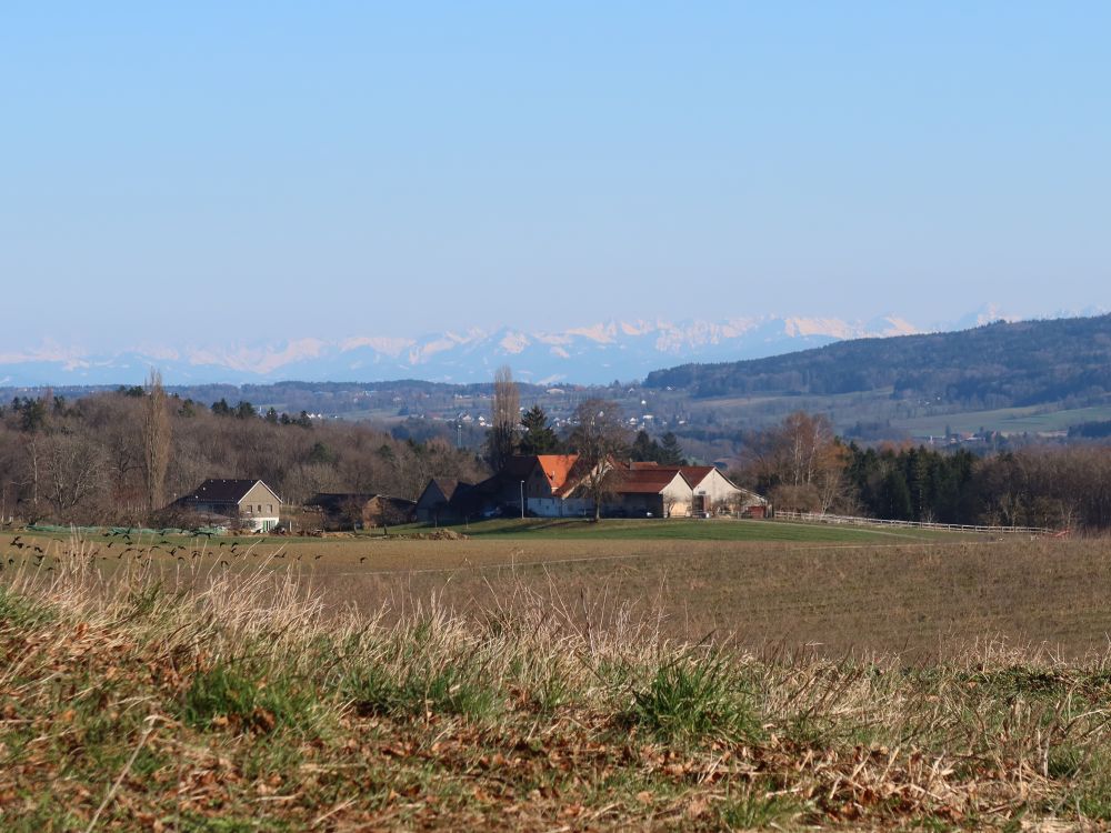 Bauernhof Hirten und Alpen