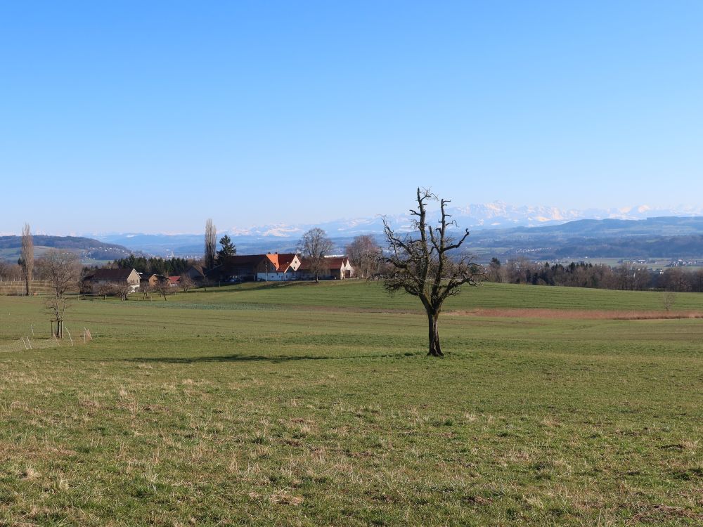 Bauernhof Hirten mit Säntis