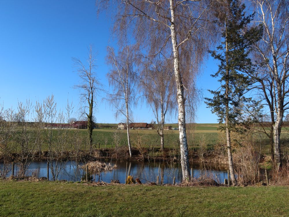 Teich bei Hirten