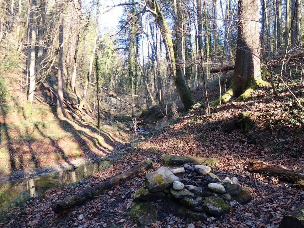 Dorfbach im Gschmelltobel