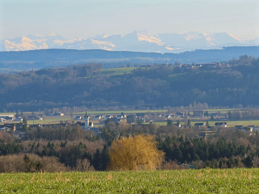 Alpenblick (Speer)