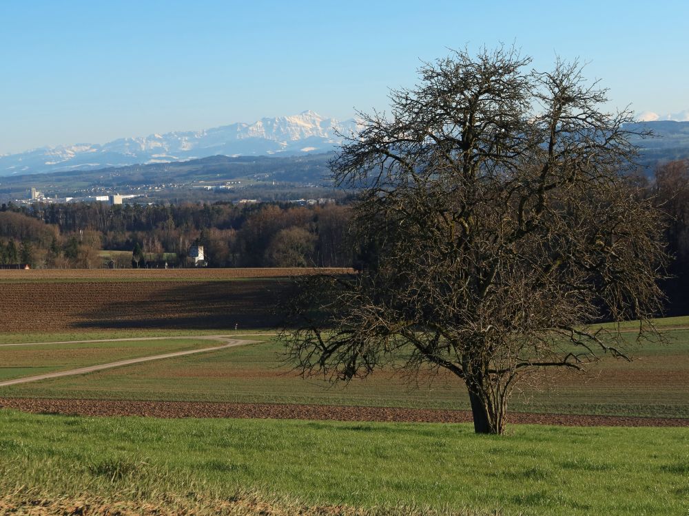 Säntisblick