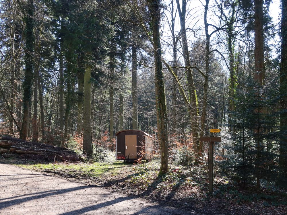 Bauwagen im Wald