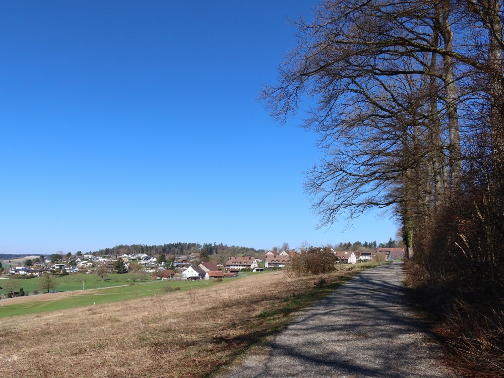 Augwil