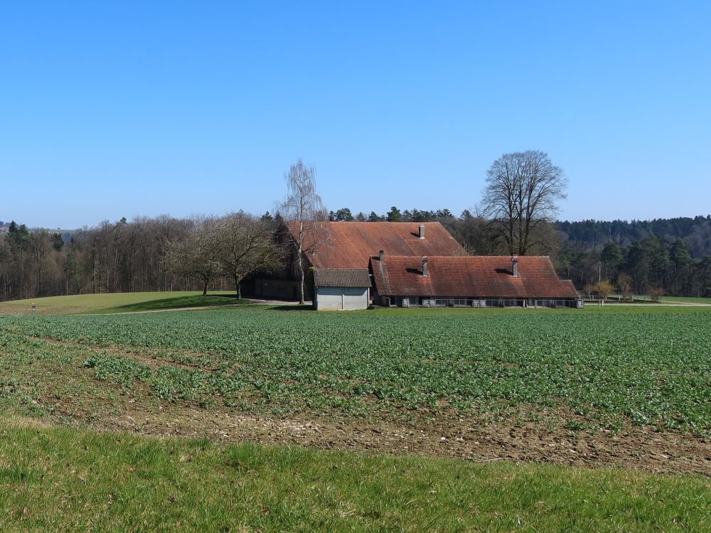 Hinter Bänikon