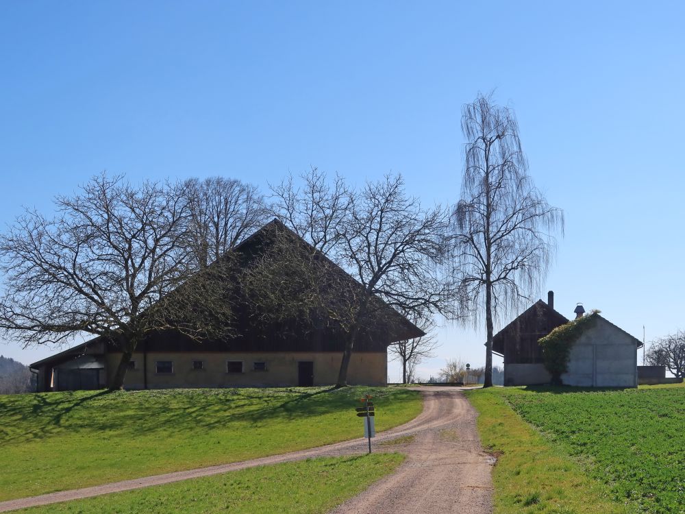 Hinter Bänikon