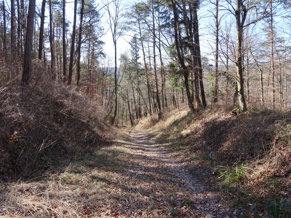 Hohlweg