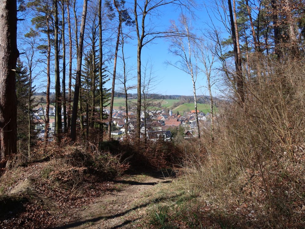 Blick Richtung Lufingen