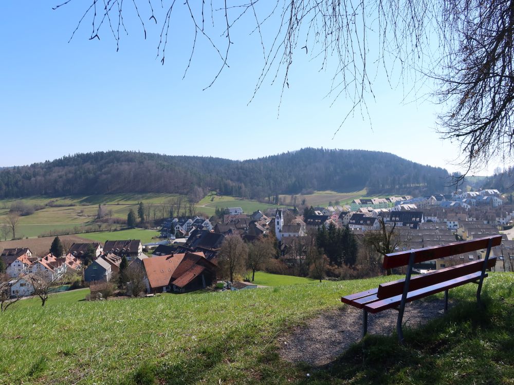 Blick auf Lufingen