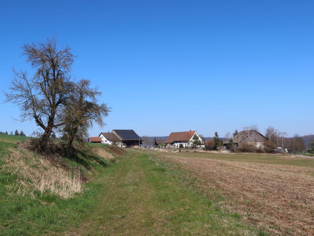 Baltsberg