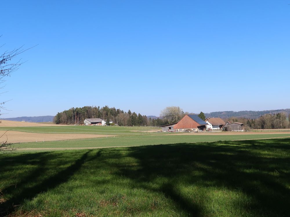 Färlistetten und Moosbrunnen