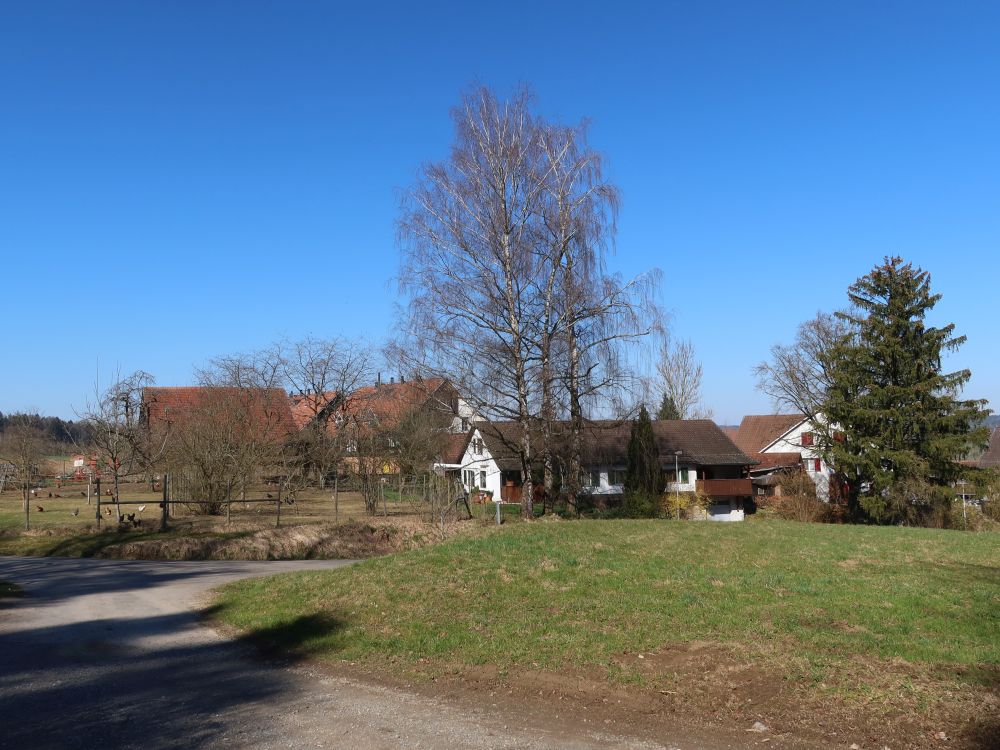 Hintermarchlen