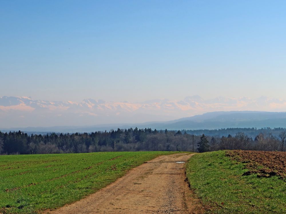 Alpenblick, Tödi u.a.