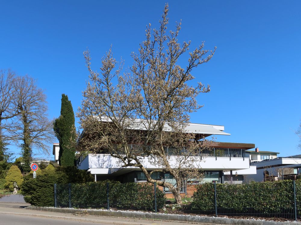 Haus an der Weidstrasse
