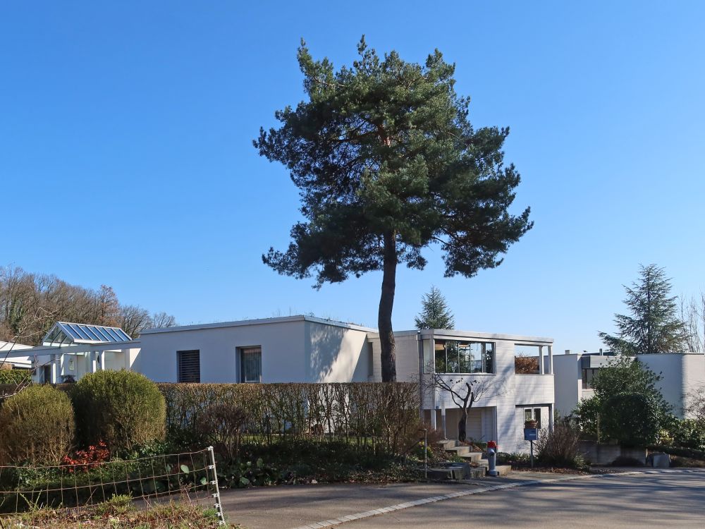 Alte Landstrasse