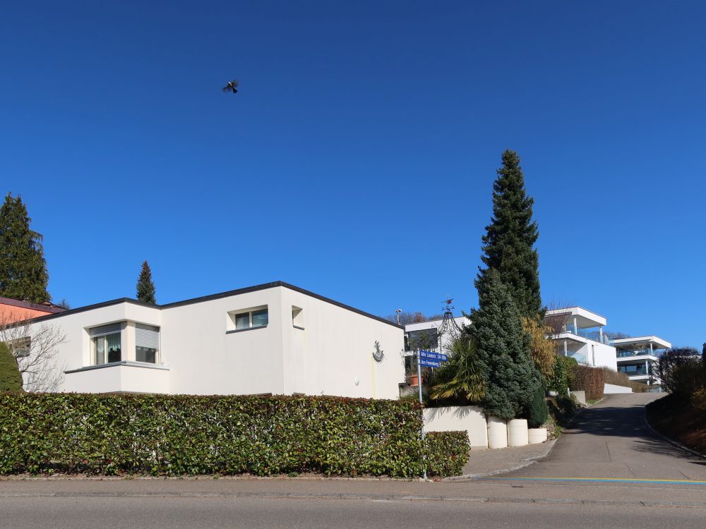 Alte Landstrasse