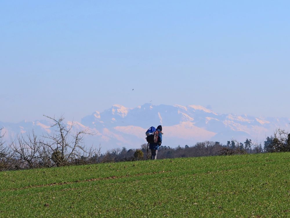 Glarner Alpen