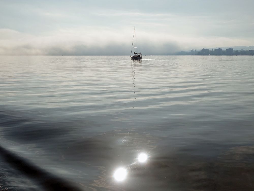 Nebel überm Bodensee