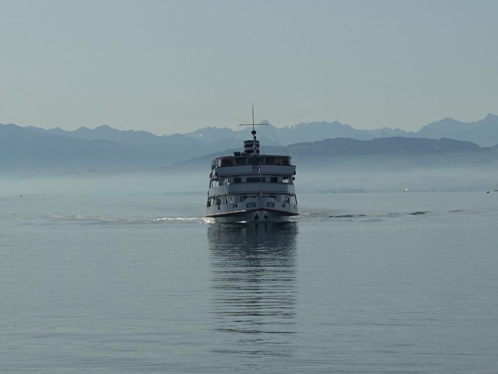 Passagierschiff und Schweizer Alpen